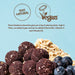 The Protein Ball Co Blueberry Oat Muffin Protein + Vitamin Balls (Breakfast To-Go) 10x45g at MySupplementShop.co.uk